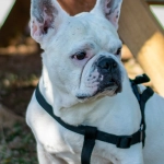 Программы лояльности казино без депозита - честный обзор условий